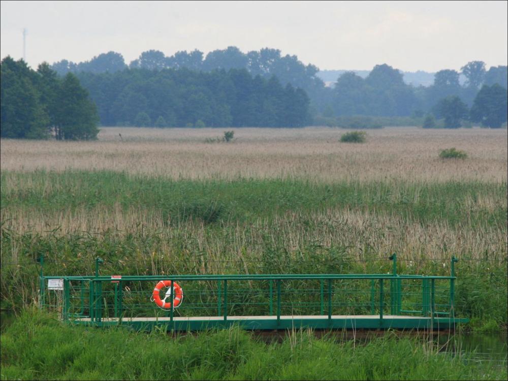 WY O N K WIAŃS AR KI PAR Niewątpliwą