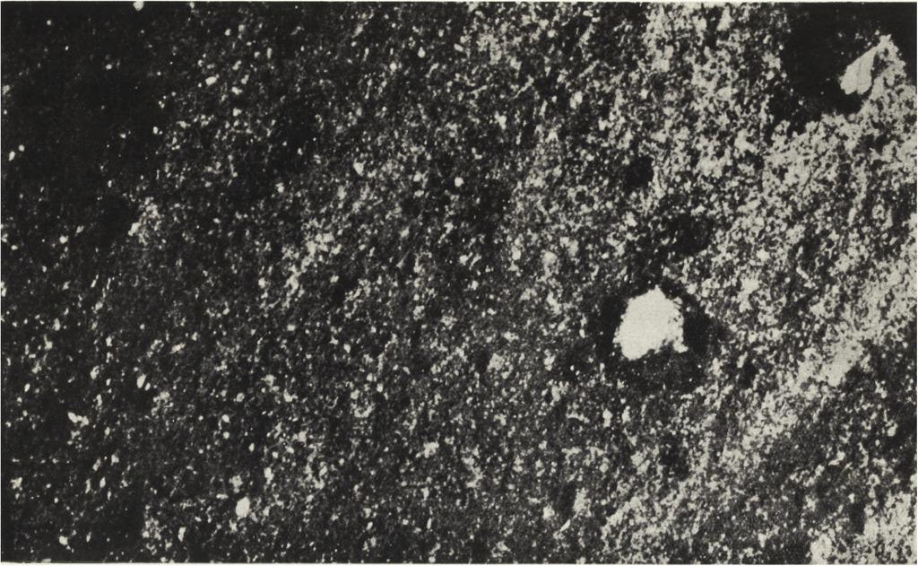 m ikrofotografia pow ierzchni ścianie południow ej (grupa