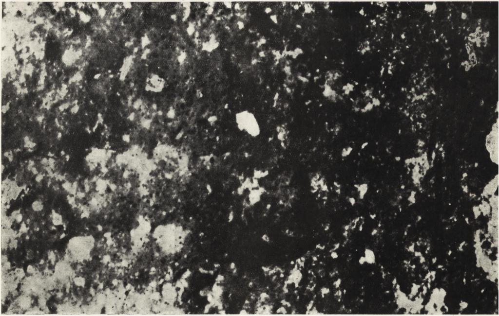 (grupa VI). Ryc. 31.