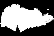 naturalny wyrzeźbi twoje brwi!