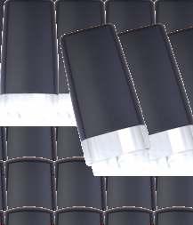 VP/Hexadecene Copolymer,