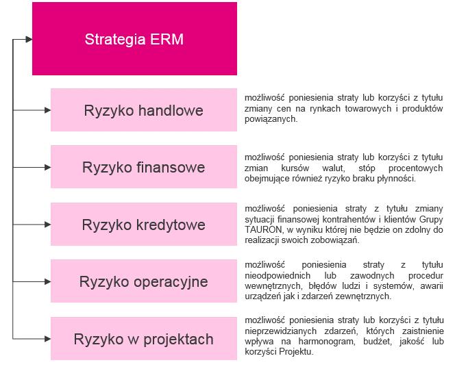 Architektura systemu zarządzania ryzykiem korporacyjnym (ERM 4 ) System zarządzania ryzykiem korporacyjnym (ERM) zapewnia całościowe i spójne zasady zarządzania ryzykiem powiązane między sobą