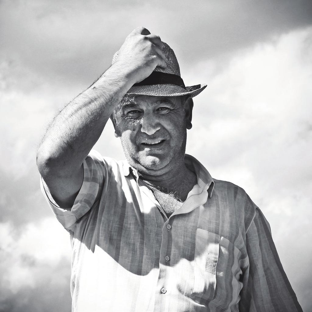 Historia Projekt SCHIENA VINI powstał w roku 1991, kiedy to Giuseppe Schiena, urodzony i wychowany w rodzinie winiarzy, najpierw dzierżawił, a następnie w 1993 roku zakupił około 30 hektarów winnic w