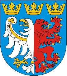 PROJEKT BUDŻETU POWIATU PABIANICKIEGO NA