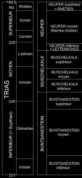 Datowanie Warstwy miedarskie nad warstwami boruszowickimi (późny fassan = wczesny ladyn) Brak konodontów Makrofauna o szerokim zasięgu czasowym