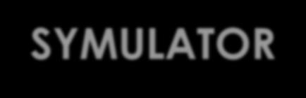 11 Symulator