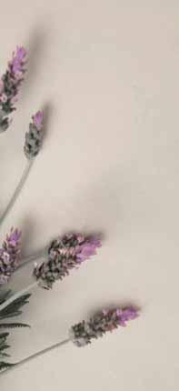 Satin Silk Riverwashed Natural Honed SATIN SILK RIVERWASHED NATURAL HONED Completely matte finish. Highly resistant and ideal for commercial applications.