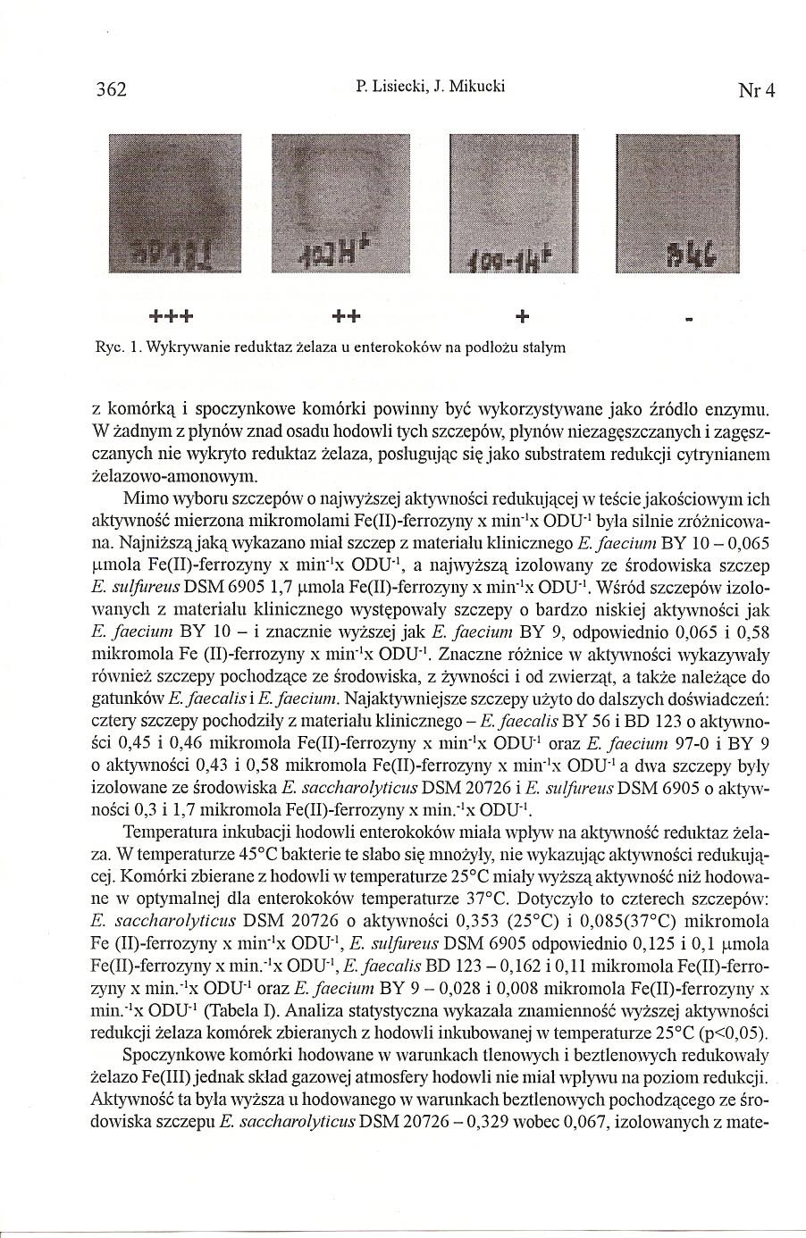 362 P.Lisiecki,J. Mikucki Nr 4 +++ ++ + Ryc. 1. Wykrywanie reduktaz zelaza u enterokoków na podlozu stalym z komórka i spoczynkowe komórki powinny byc wykorzystywane jako zródlo enzymu.