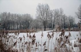 Konkurs Zima w obiektywie Tekst i zdjęcia: www.zsturzno.