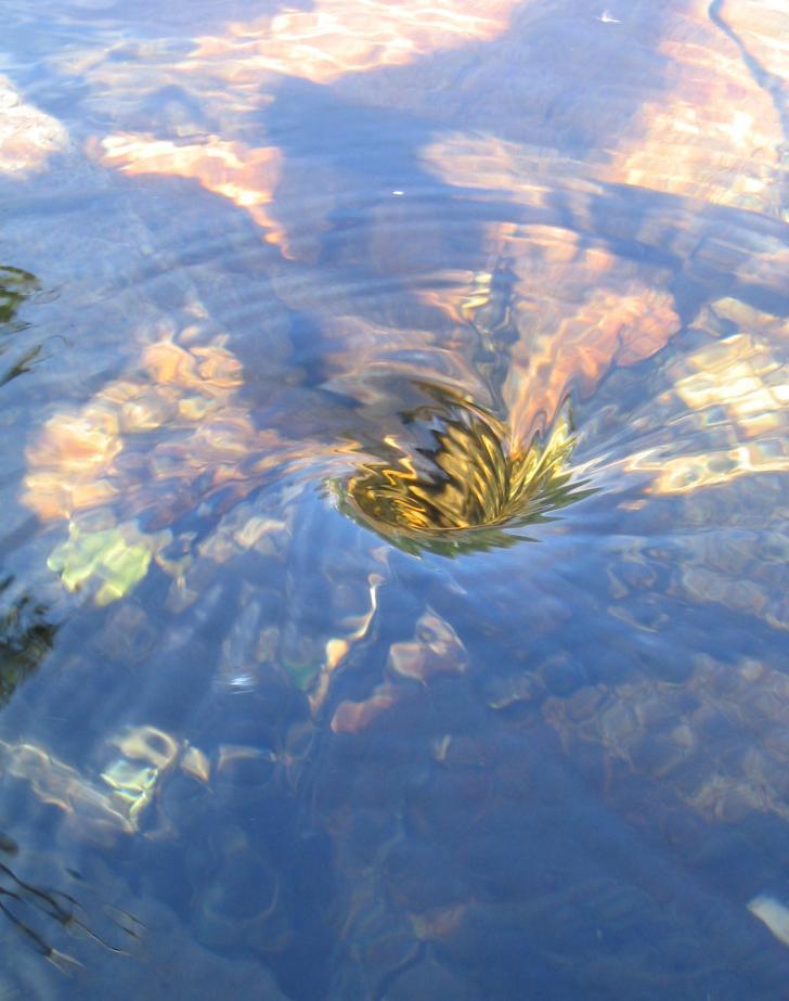 Reakcja wód powierzchniowych na obniżenie kwaśnej depozycji problemy i niepewności Czynniki zakłócające: zmiany klimatyczne (hydrologia, pogodowe zjawiska ekstremalne, szybkość