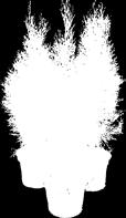 50-70 cm - 0, zł, 0 cm - 0,