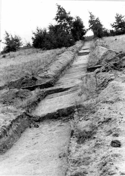 Układ przestrzenny wczesnośredniowiecznego grodu w Połupinie, stan. 2 93 Ryc. 30. Połupin, stan. 2, gm. Dąbie. Fragment wykopu 6. Na pierwszym planie jama 1, w tle kolejne obiekty. Fot. J.