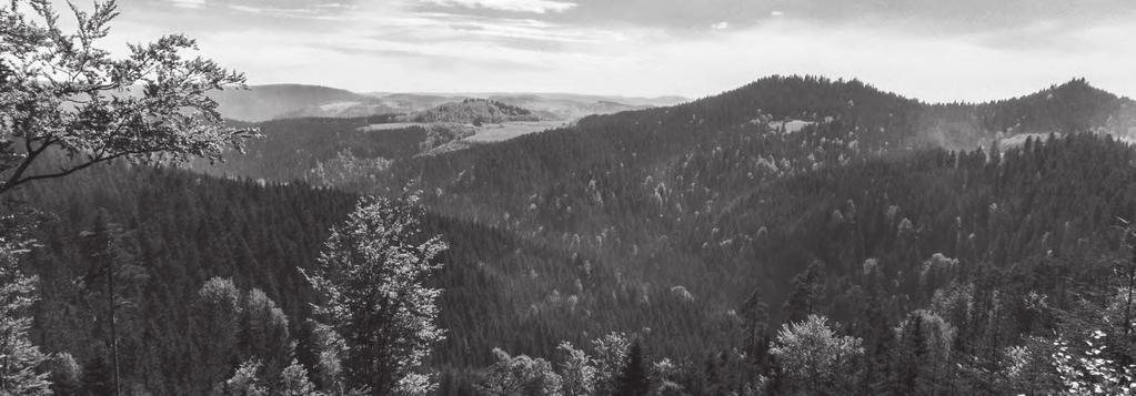ZE SCHWARZWALDU NA CAŁY S WIAT. Południowo-zachodnia część Niemiec, a w szczególności Schwarzwald, były zawsze regionem eksperymentów i wynalazców.