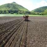 Zakładanie plantacji: nowe techniki sadzenia,