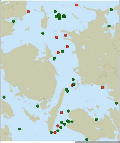 Bezpieczeństwo żeglugi na akwenie Bałtyku Zachodniego Rys. 3. Pozycje wejść na mieliznę i kolizji statków w Wielkim Bełcie [6] Fig. 3. Positions of grounding and collision in the Great Belt Rys. 4.