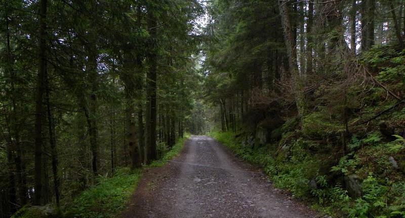 Zelené pleso Kežmarské Veľká Svišťovka Skalnaté pleso (Zielony Staw Kieżmarski Rakuska Czuba - Łomnicki Staw) Niezbyt wymagająca trasa na najwyżej położony punkt czerwono znakowanej Magistrali