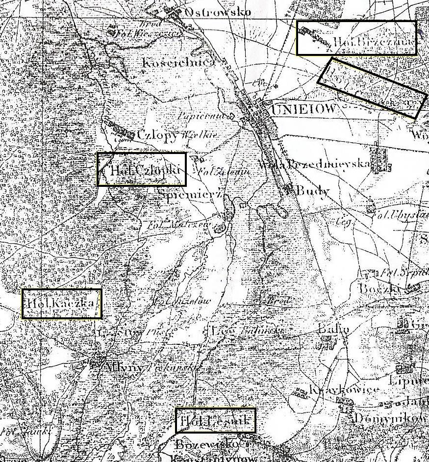 Wsie z zabudową rozproszoną spotykamy na terenach zasiedlanych przez osadników niemieckich, uzyskanych na drodze karczunku drzew i krzewów.