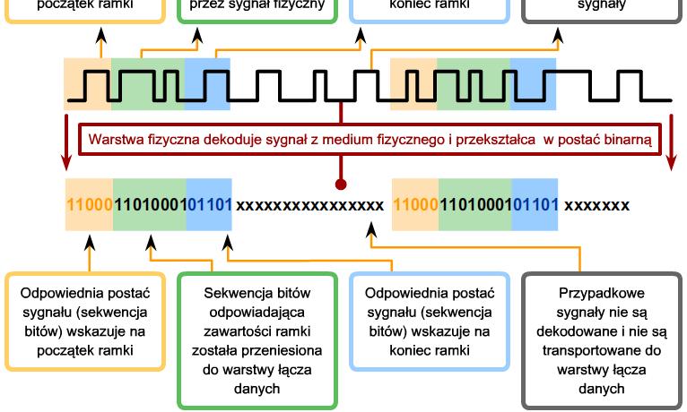 Sygnały i kodowanie w warstwie fizycznej Wyjaśnij rolę kodowania jaką