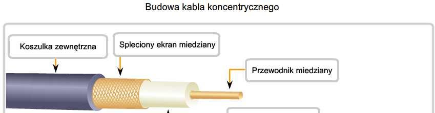 Charakterystyka i