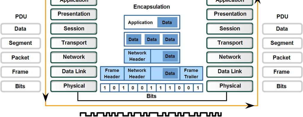 Physical Layer Protocols & Services Describe the role of bits in