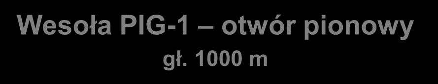 965,7 spąg pokładu 501 (grubość 3,65 m) 977,1 spąg pokładu 510 (grubość 11,05 m) Wesoła