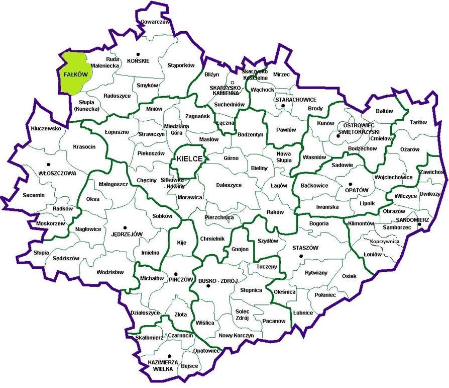 szkół na obszarach rewitalizowanym), zwiększenie dostępu do usług zdrowotnych (modernizacja Ośrodka Zdrowia, wdrożenie programów profilaktycznych) Cel strategiczny 5: Koncentracja na rozwoju obszarów