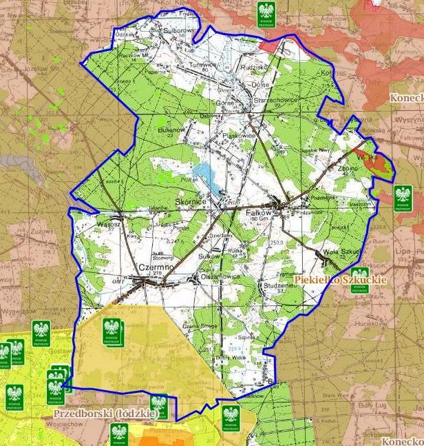 Jedyny zarejestrowany pomnik przyrody żywej - 2 dęby szypułkowe (nr rej. 723) w wieku ok. 250 lat, o obwodzie 370 i 380 cm oraz wysokości 35 m zlokalizowane są na działce nr 594/1 w m.