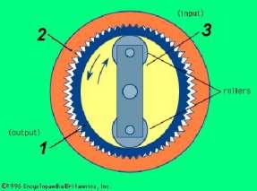 Przekładnia falowa - budowa Przekładnia falowa składa się z trzech elementów: koła pierścieniowego 2, podatnego cienkościennego walca 1 oraz generatora 3, wywołującego odkształcenie walca 1.