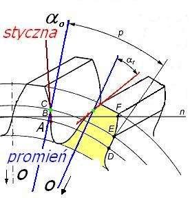 Podstawowe parametry geometryczne Podziałowy kąt zarysu Kąt zarysu o w