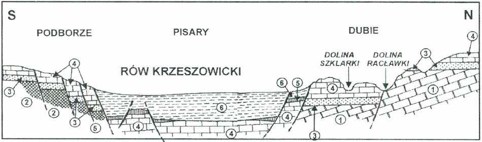 Szczegółowe informacje na temat budowy geologicznej zostały przedstawione w postaci przekroju geologicznego wraz z objaśnieniami (Fig. 2)