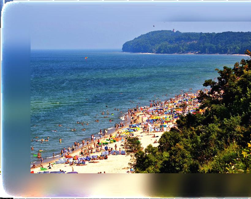 naszeszwederowo@op.pl TEL: www.