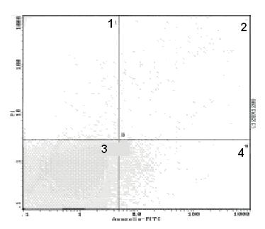 99 I a b c II * - różnice istotne statystycznie pomiędzy PMN po bezpośredniej izolacji i PMN po inkubacji statistically significant differences between PMNs directly after their isolation and PMNs