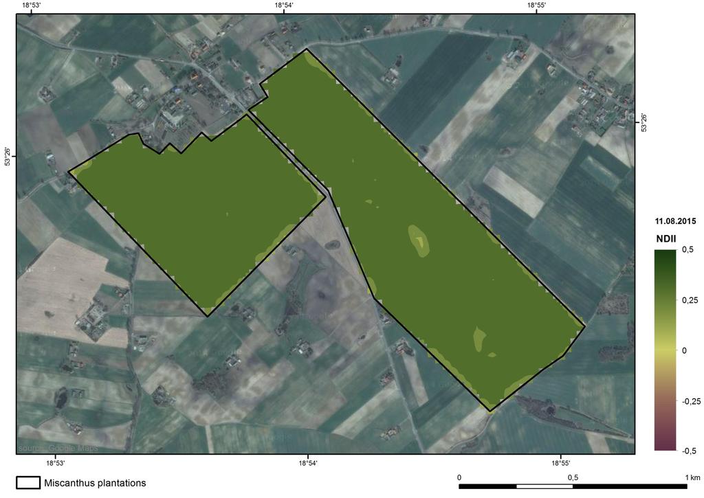 NDVI Map for