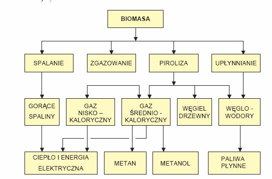 Wykorzystanie biomasy do celów energetycznych Wszechstronne możliwości energetycznego wykorzystania biomasy,