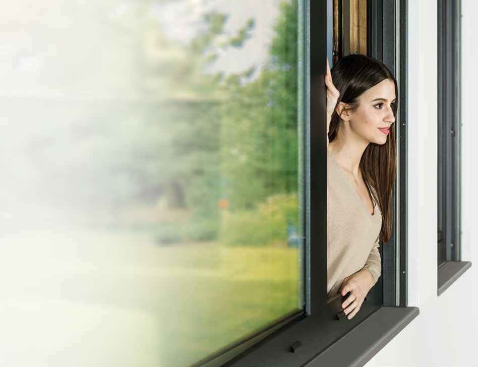 WARIANTY PROFILI ALUMINIOWYCH Główną cechą i