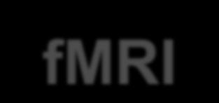 Funkcjonalny rezonans magnetyczny (fmri) najczęściej wykorzystywane jest jądro