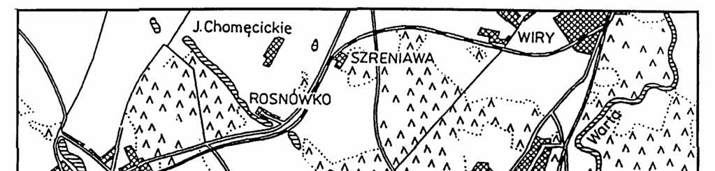 Kolonizacja powalonych drzew... 153 3) powierzchnia bryły korzeniowej od strony wyrwy w ziemi; jej strukturę stanowią splątane korzenie i podłoże glebowe, 4) wyrwa w ziemi po usuniętych korzeniach.