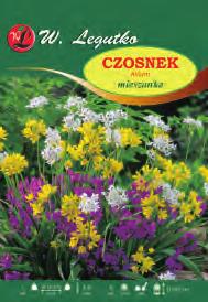 10 głębokość rozstawa