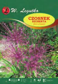 wysokość Allium ursinum V