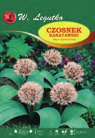 Ostrowskiego Szuberta