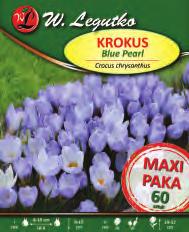 Pearl Kus