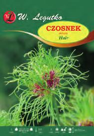 8 głębokość rozstawa