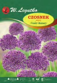 9 głębokość rozstawa