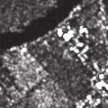 Fragmenty te ukazuj charakterystyczne rónice pomidzy obrazami przetworzonymi przy uyciu metody filtracji dajcej dobre dla danego fragmentu obrazu efekty (filtr Lee), oraz z wykorzystaniem k. l. AWS.