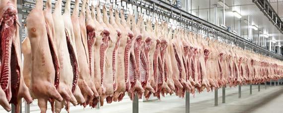 Meat that comes from cutting beef hindquarter (leg).