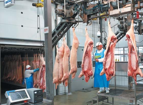 The process consists of both long-term cooperation with the best breeders, slaughter in slaughterhouses meeting eery world standard and
