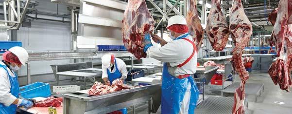 Najlepszy surowiec pozyskujemy poprzez współpracę z