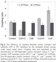 Tomoplast V-ATPase PPase Kabala