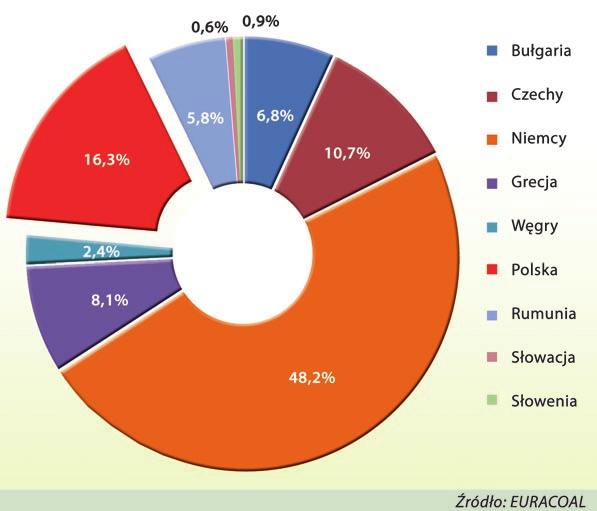 Szczególnie ważne jest jego znaczenie dla pokrycia zapotrzebowania na energię elektryczną.