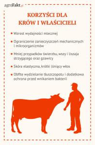 .pl https://www..pl Korzyści czystej sierści, zarówno dla zwierząt jak i właścicieli.